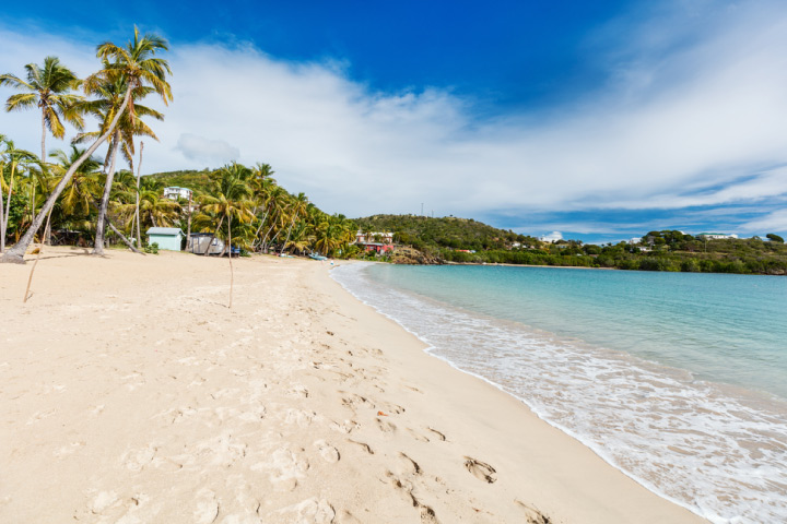 Carlisle bay beach